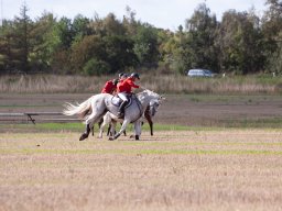 IMG_8527_web